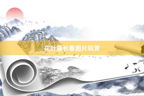 花叶蔓长春图片玩赏