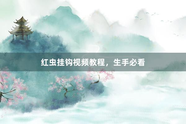 红虫挂钩视频教程，生手必看