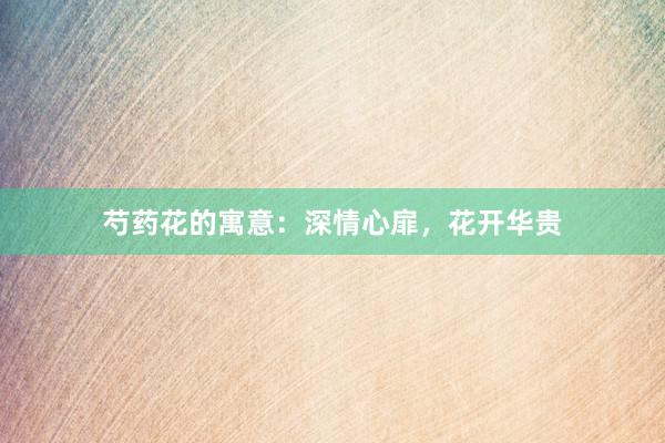 芍药花的寓意：深情心扉，花开华贵