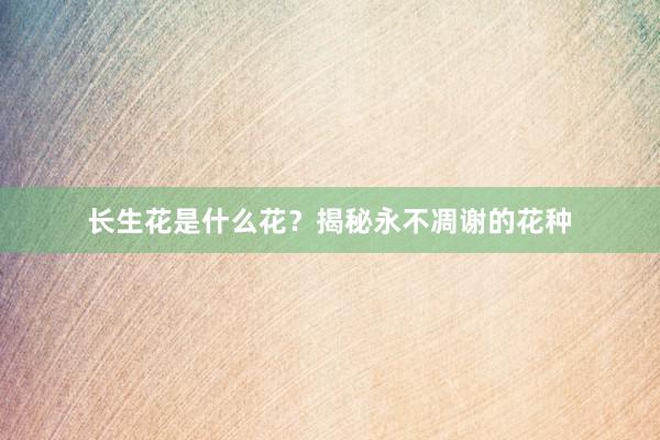 长生花是什么花？揭秘永不凋谢的花种