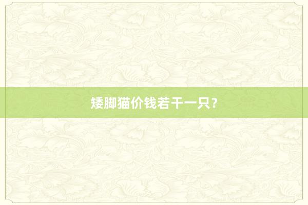 矮脚猫价钱若干一只?