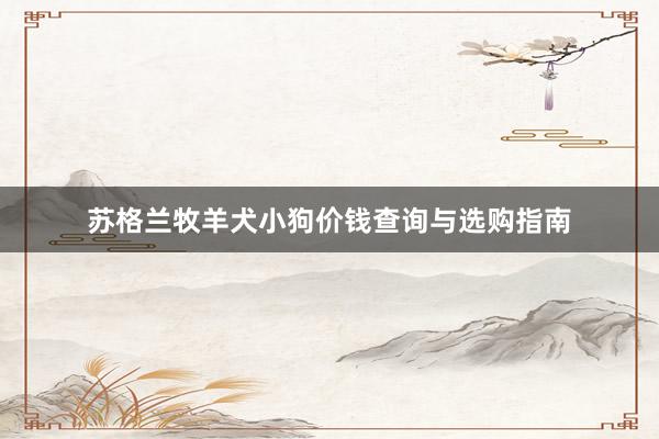 苏格兰牧羊犬小狗价钱查询与选购指南